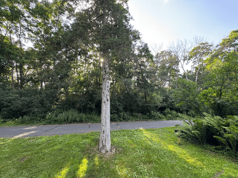 0000 Quentin Ave S, Lakeland, MN 55043