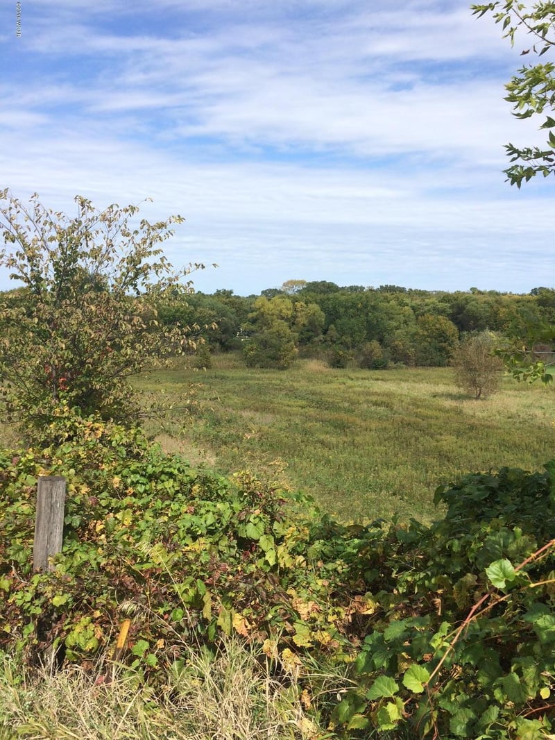 Lot 1 Blk NE 51 Street, Spicer, MN 56288