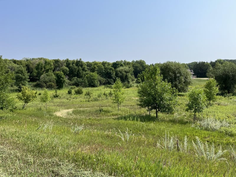Lot 1 Blk NE 51 Street, Spicer, MN 56288