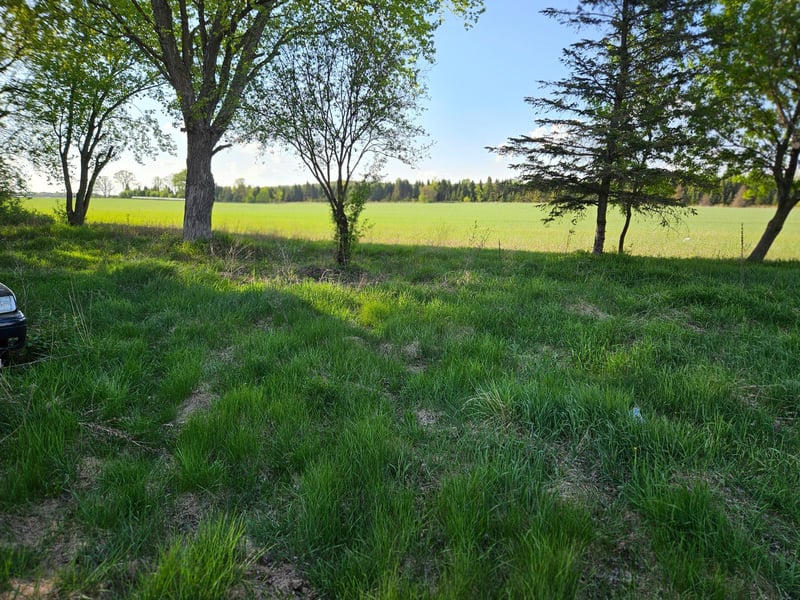 38.79 acres State Road 25, Wheeler, WI 54772