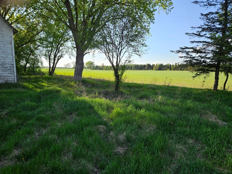 38.79 acres State Road 25, Wheeler, WI 54772