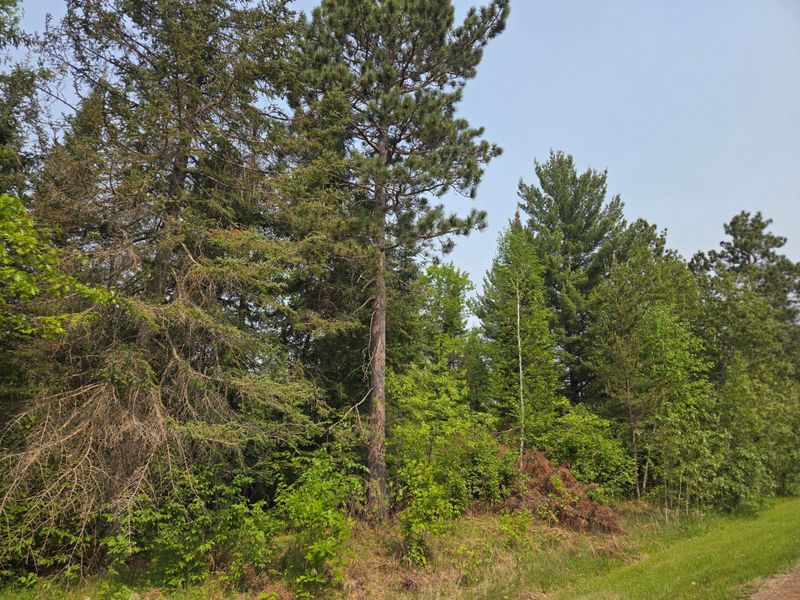 TBD Graycalm Ct SE, Bemidji, MN 56601