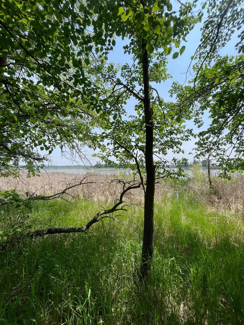 21xxx W Toad Lake Dr, Osage, MN 56570