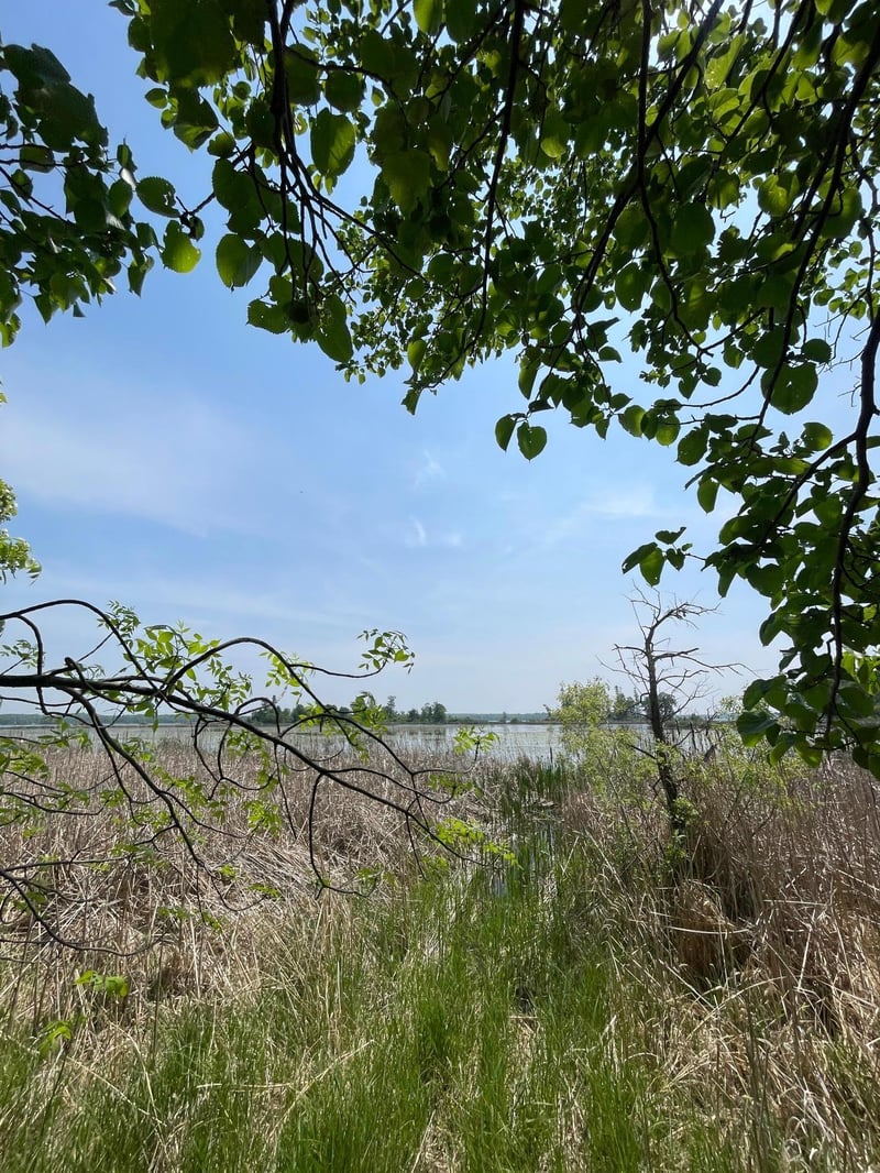 21xxx W Toad Lake Dr, Osage, MN 56570