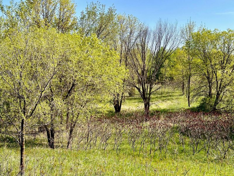XXX Us 71, Sauk Centre, MN 56378