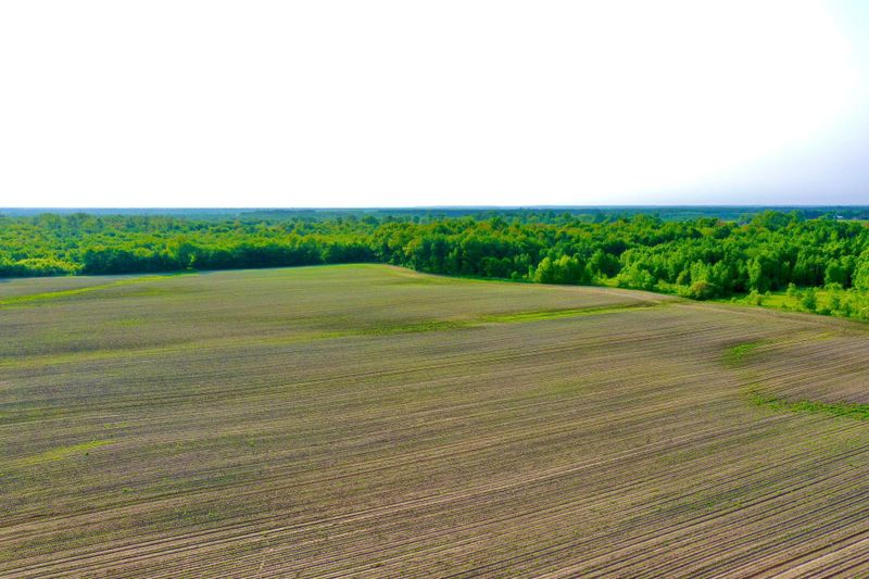 NA 465th St, Harris, MN 55032