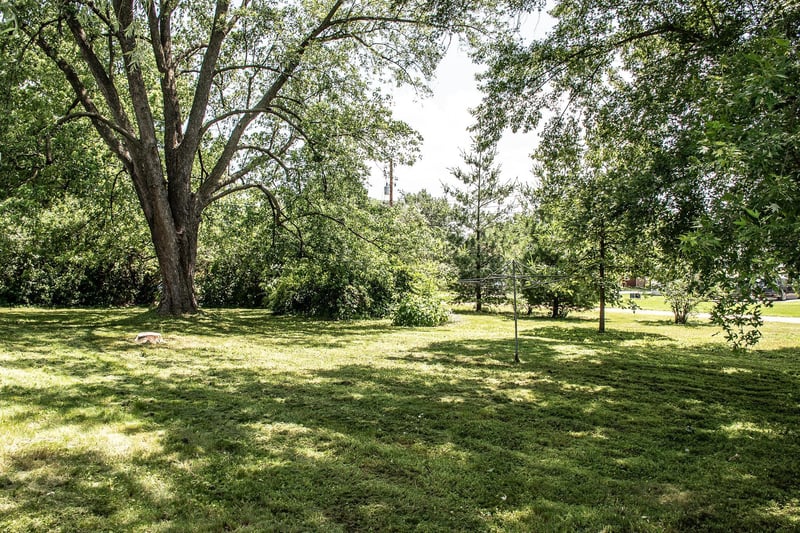 808 Franklin Ave, Wabasha, MN 55981