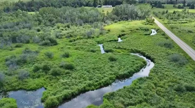 13505 580th Ave, Menahga, MN 56464