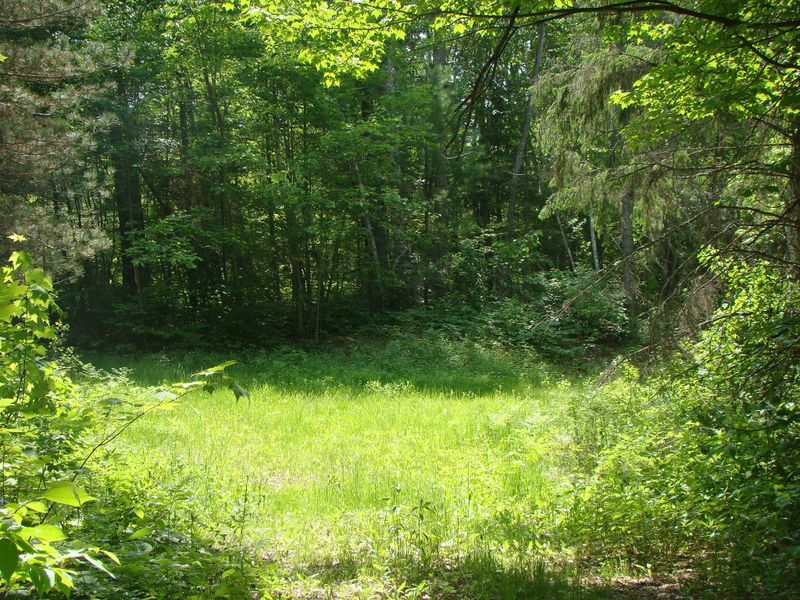TBD Dam Rd, Emily, MN 56447