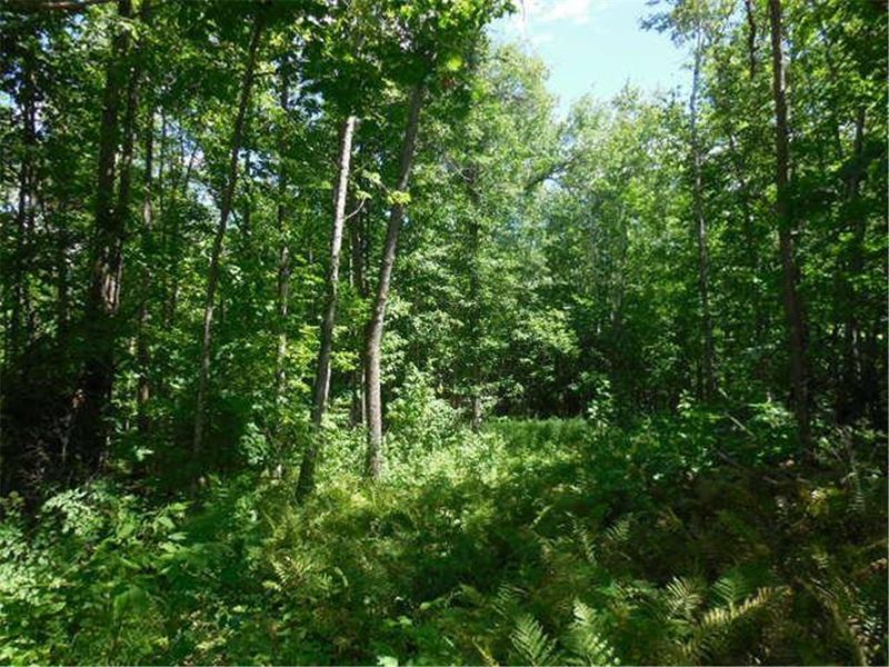 TBD E Forest Ln, Fine Lakes Twp, MN 55798