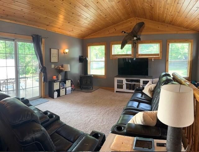 403 Medayto Dr, Spicer, MN 56288