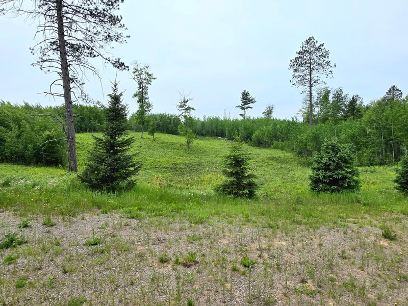 18131 County Road 433, Swan River, MN 55784