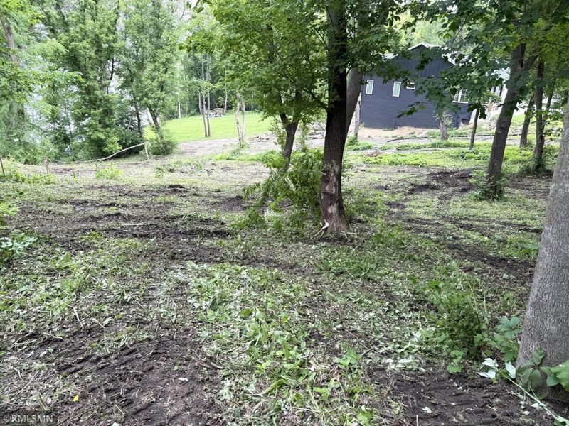 TBD Newcomb Ave SW, Cokato, MN 55321