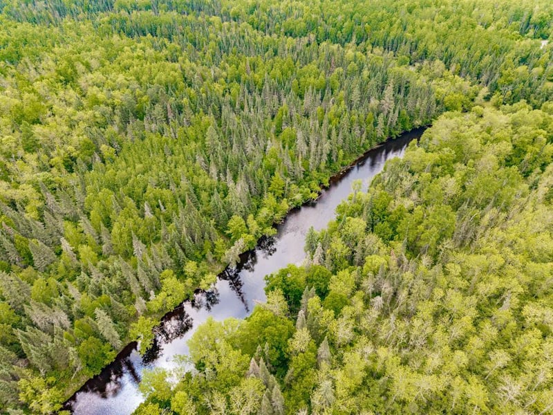 7158 Comstock Lake Rd, Cotton, MN 55724