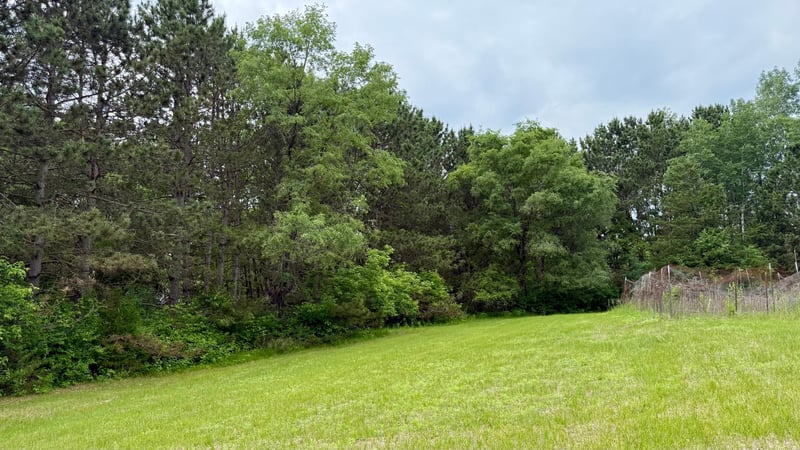 TBD 176th Ave NW, Ramsey, MN 55303