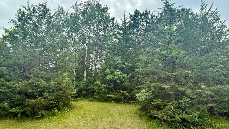 TBD 176th Ave NW, Ramsey, MN 55303