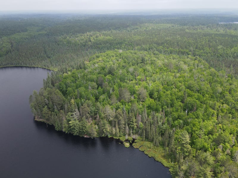 TBD Holm Logging Rd, Cook, MN 55723
