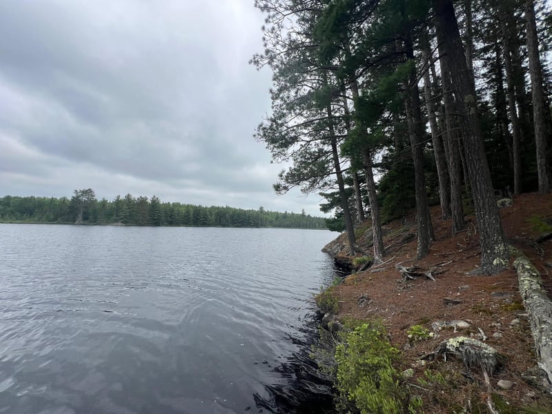 TBD Holm Logging Rd, Cook, MN 55723
