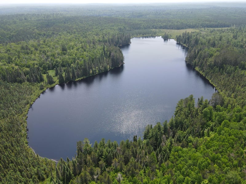 TBD Holm Logging Rd, Cook, MN 55723