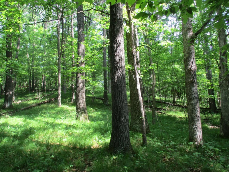 XXX 160th Ave, Saint Croix Falls, WI 54024