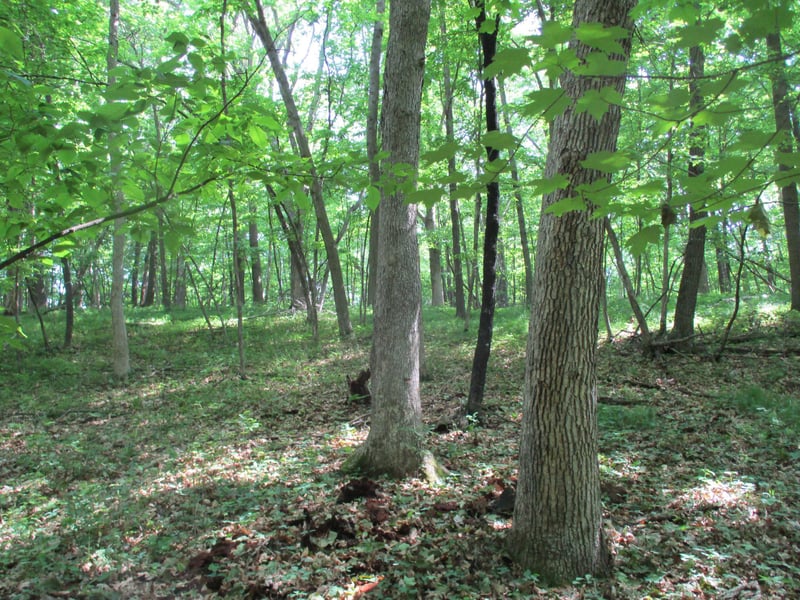 XXX 160th Ave, Saint Croix Falls, WI 54024