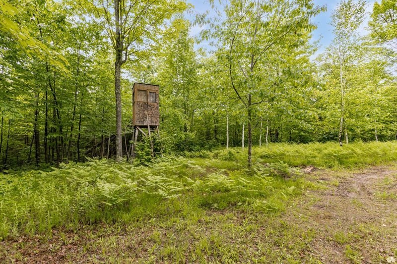 7985 E County Road A, Solon Springs, WI 54873