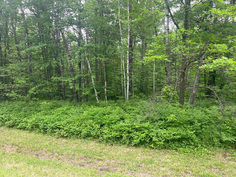 000 State Highway 107, Grasston, MN 55030