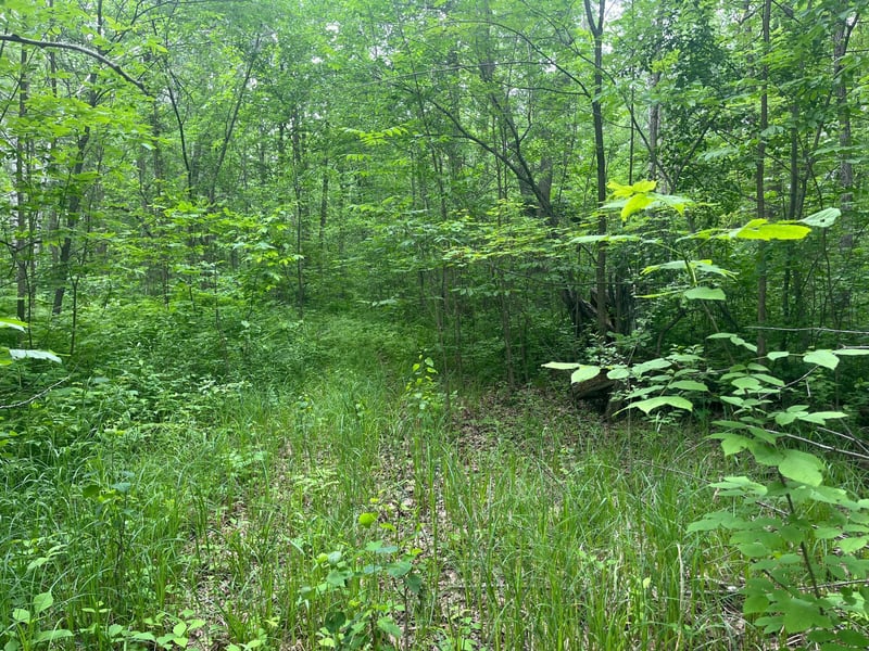 000 State Highway 107, Grasston, MN 55030