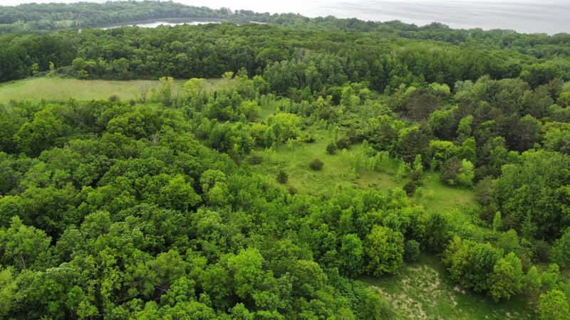 27677 E State Highway 55, Paynesville, MN 56362