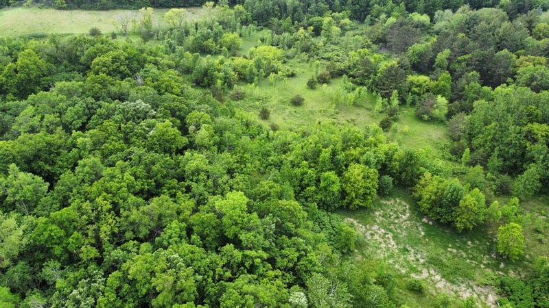 27677 E State Highway 55, Paynesville, MN 56362