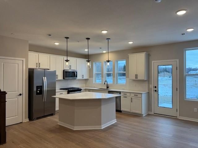 21955 Harvest Ave, Rogers, MN 55374