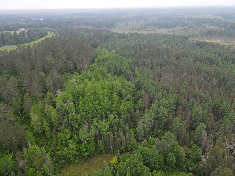 TBD Moorhead Rd, Cloquet, MN 55720