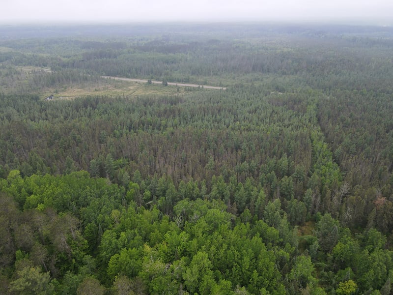 TBD Moorhead Rd, Cloquet, MN 55720