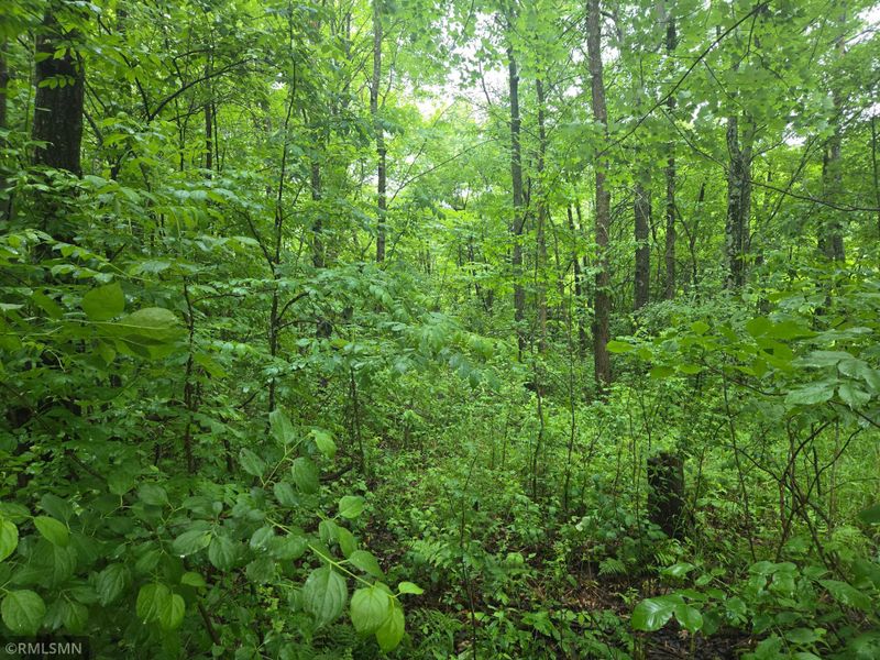 xxx E Oak St, Webster, WI 54893