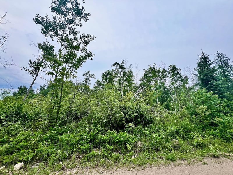 TBD Shuster Rd, Orr, MN 55771