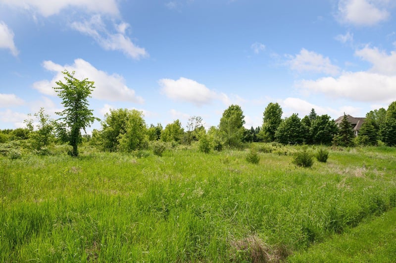 TBD Mark St, Greenfield, MN 55373