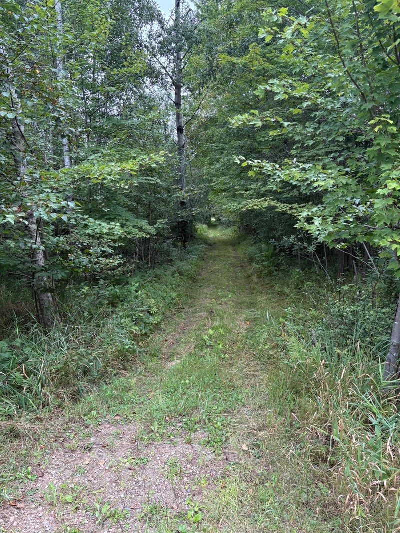 20 acres 22 1/4 St, Chetek, WI 54728