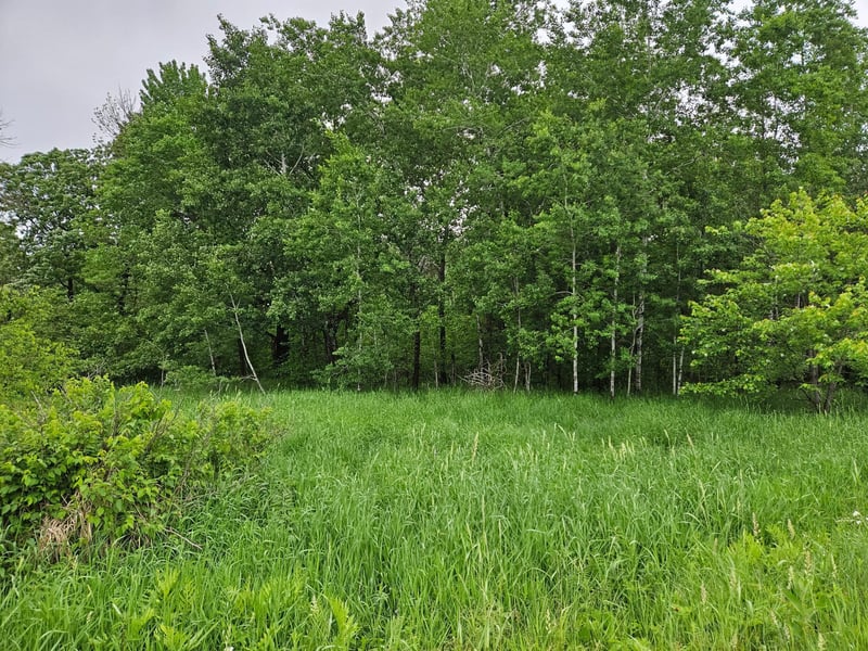 20 acres 22 1/4 St, Chetek, WI 54728