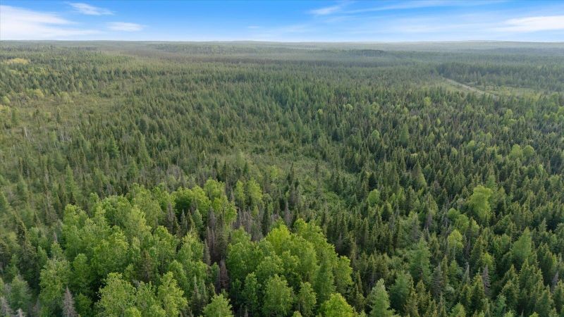 2600 Whyte Rd, Two Harbors, MN 55616