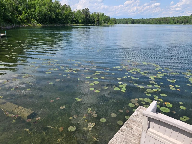 44250 Posterity Beach Ln, Waubun, MN 56589