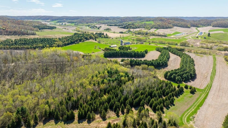 0 Steinke Rd, Mondovi, WI 54755