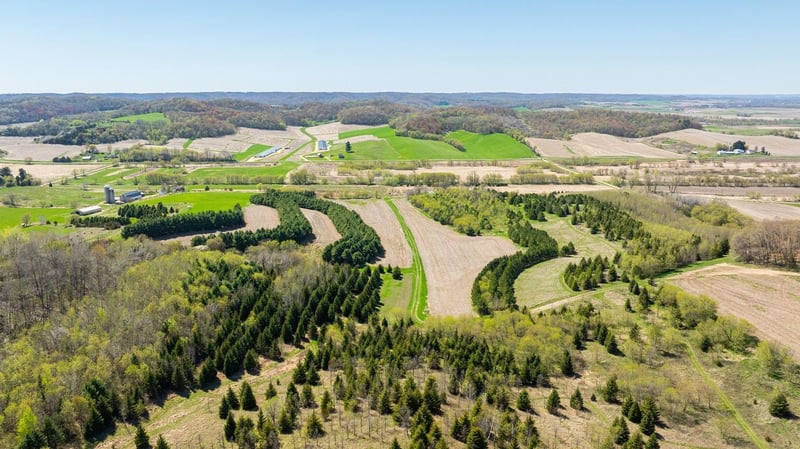 0 Steinke Rd, Mondovi, WI 54755