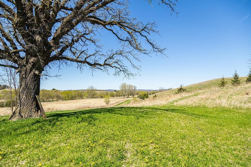 0 Steinke Rd, Mondovi, WI 54755