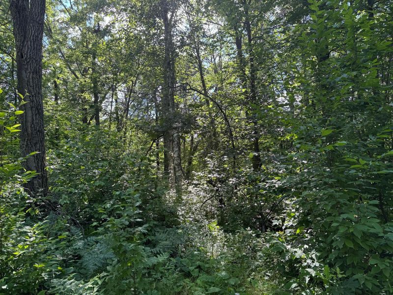 xxx Blue Ridge Dr, Breezy Point, MN 56472