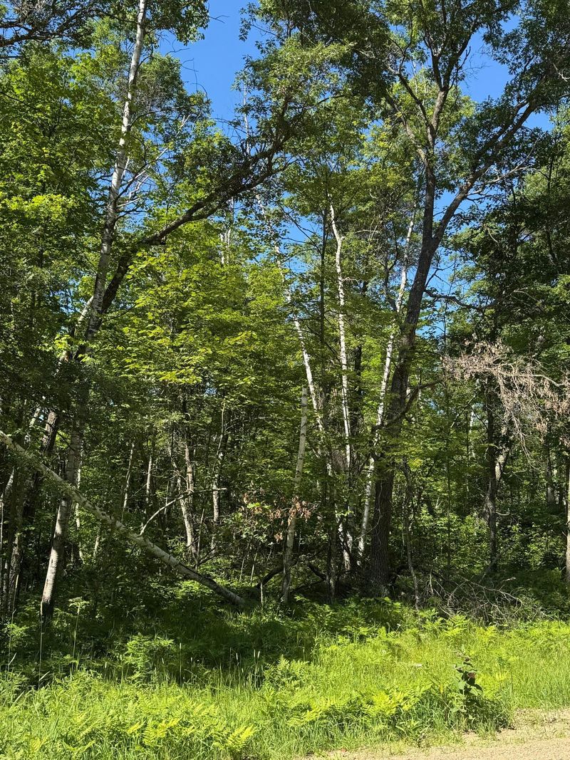 xxx Blue Ridge Dr, Breezy Point, MN 56472