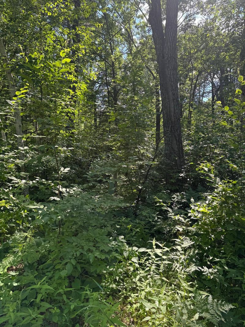 xxx Blue Ridge Dr, Breezy Point, MN 56472