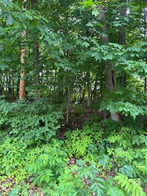 XXX 170th Ave, Centuria, WI 54824