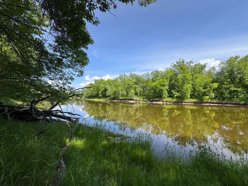 35xxx 453rd Ln, Palisade, MN 56469