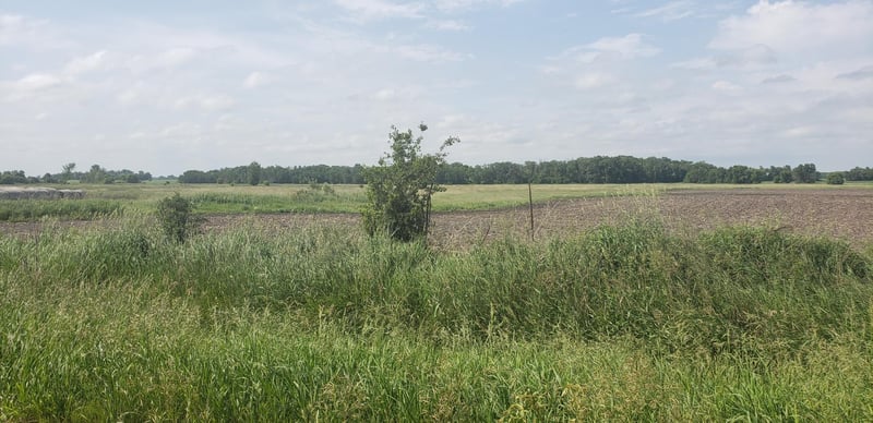 56520 365th St, Eden Valley, MN 55329