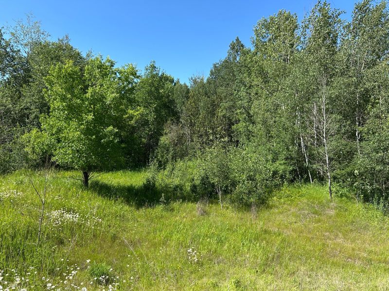 TBD 260th, Sebeka, MN 56477